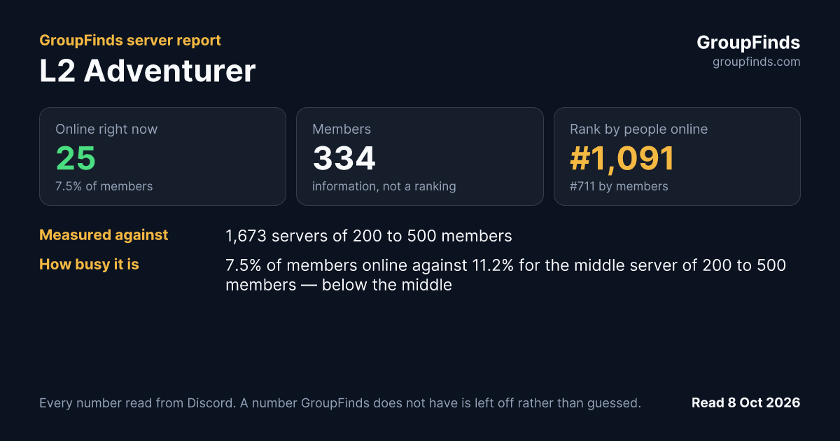 L2 Adventurer's GroupFinds server report