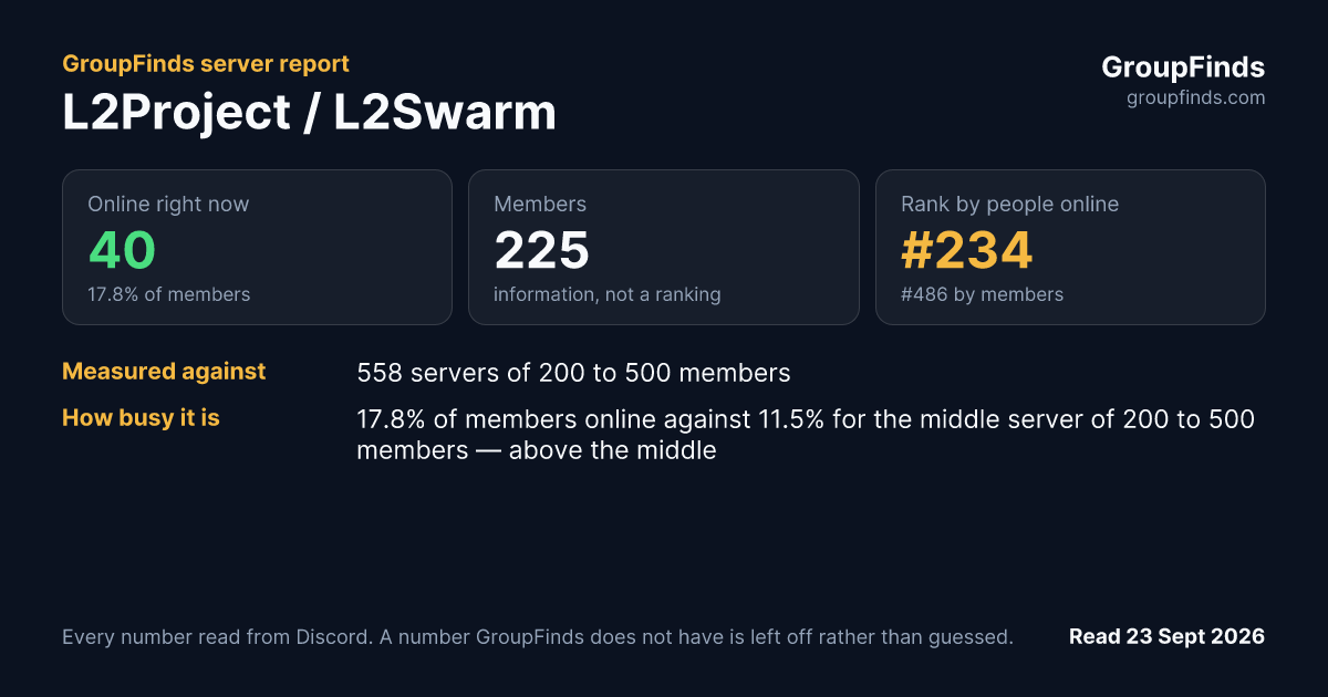 L2Project / L2Swarm's GroupFinds server report