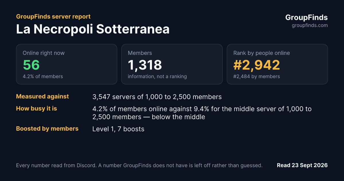 La Necropoli Sotterranea's GroupFinds server report