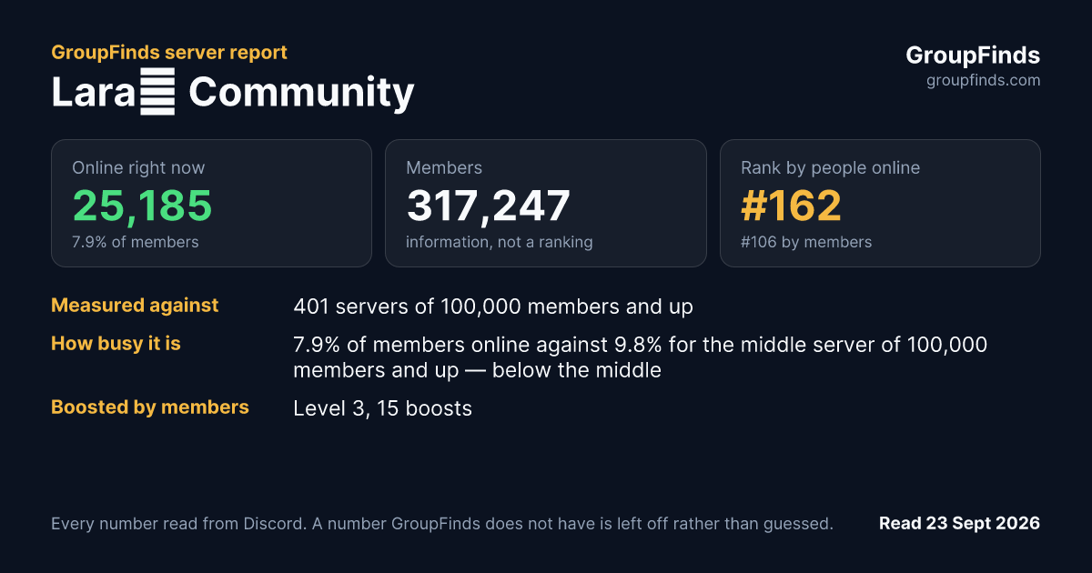 Lara✨ Community's GroupFinds server report