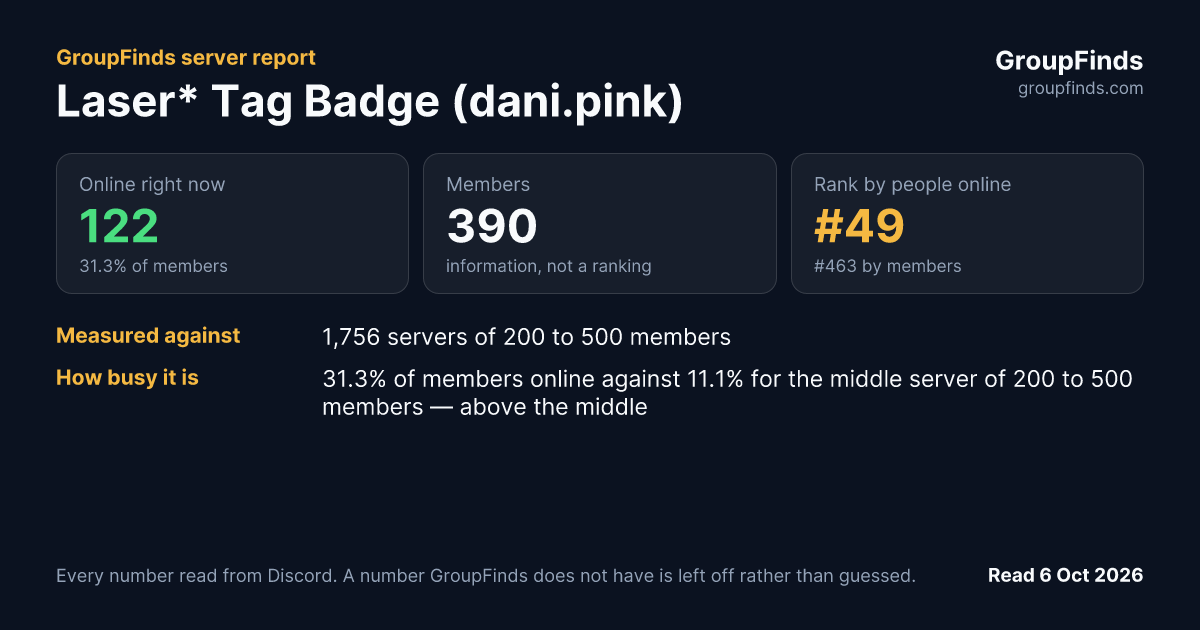 Laser Tag Badge (dani.pink)'s GroupFinds server report