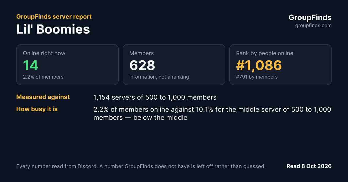 Lil' Boomies's GroupFinds server report