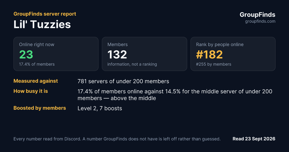 Lil' Tuzzies's GroupFinds server report
