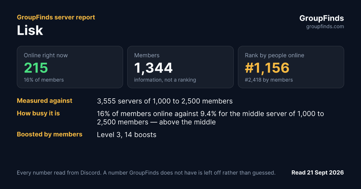 Lisk's GroupFinds server report