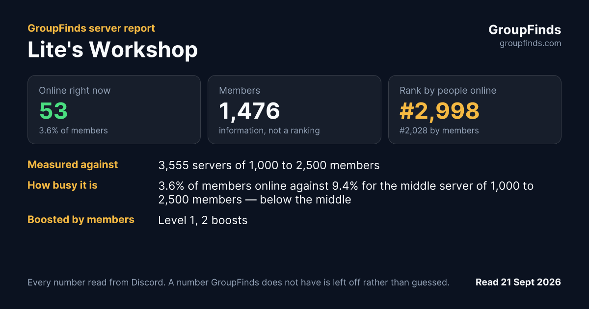 Lite's Workshop's GroupFinds server report