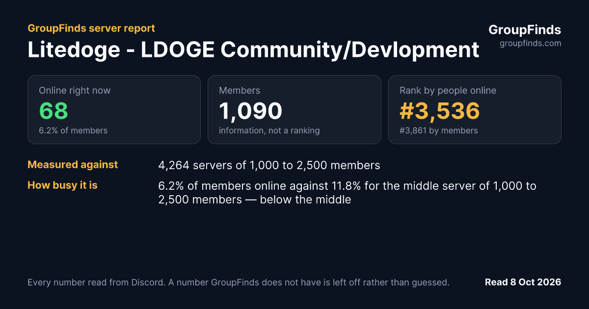 Litedoge - LDOGE Community/Devlopment's GroupFinds server report