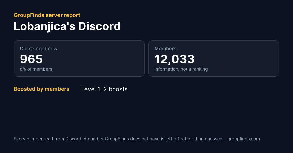 Lobanjica's Discord's GroupFinds server report