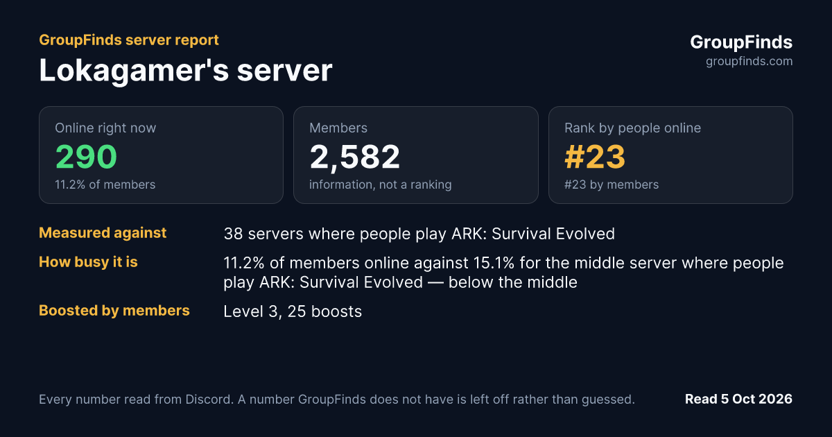 Lokagamer's server's GroupFinds server report
