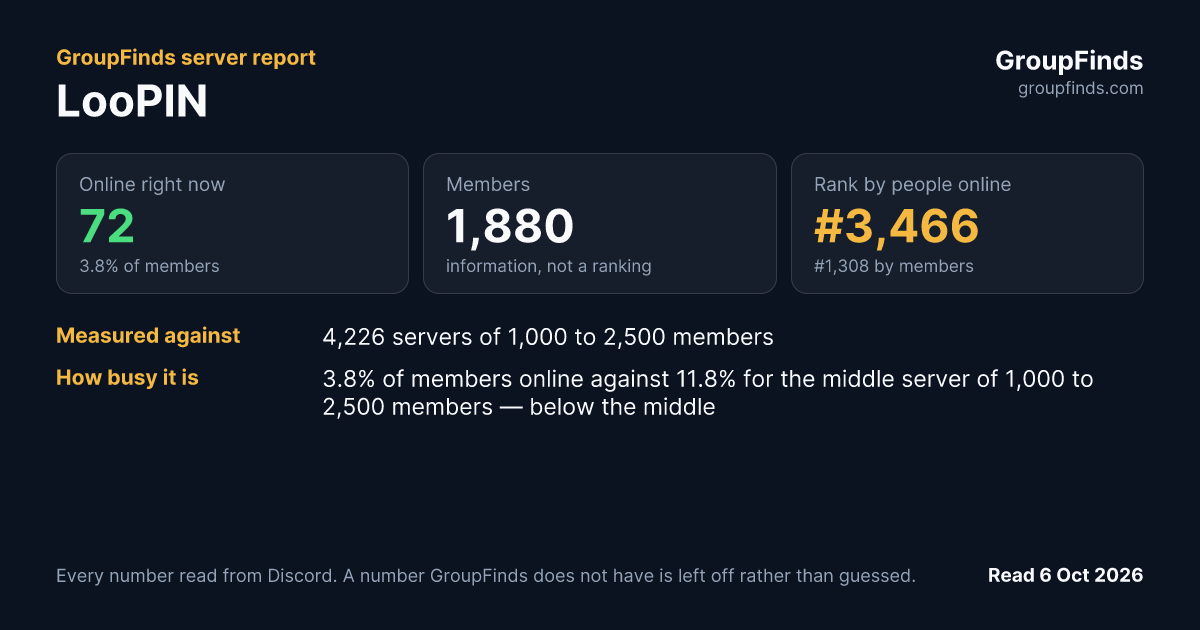 LooPIN's GroupFinds server report