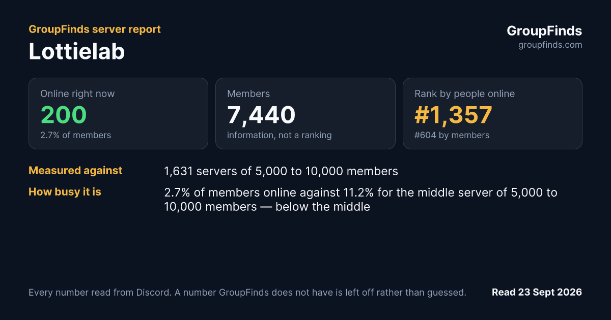 Lottielab's GroupFinds server report