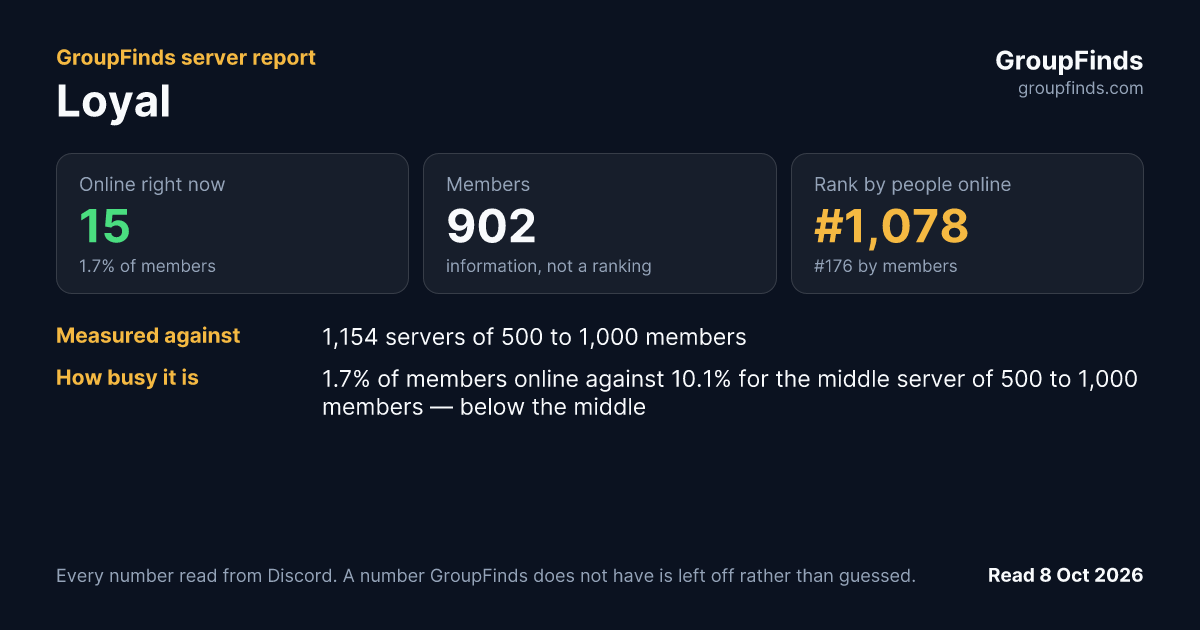 Loyal's GroupFinds server report