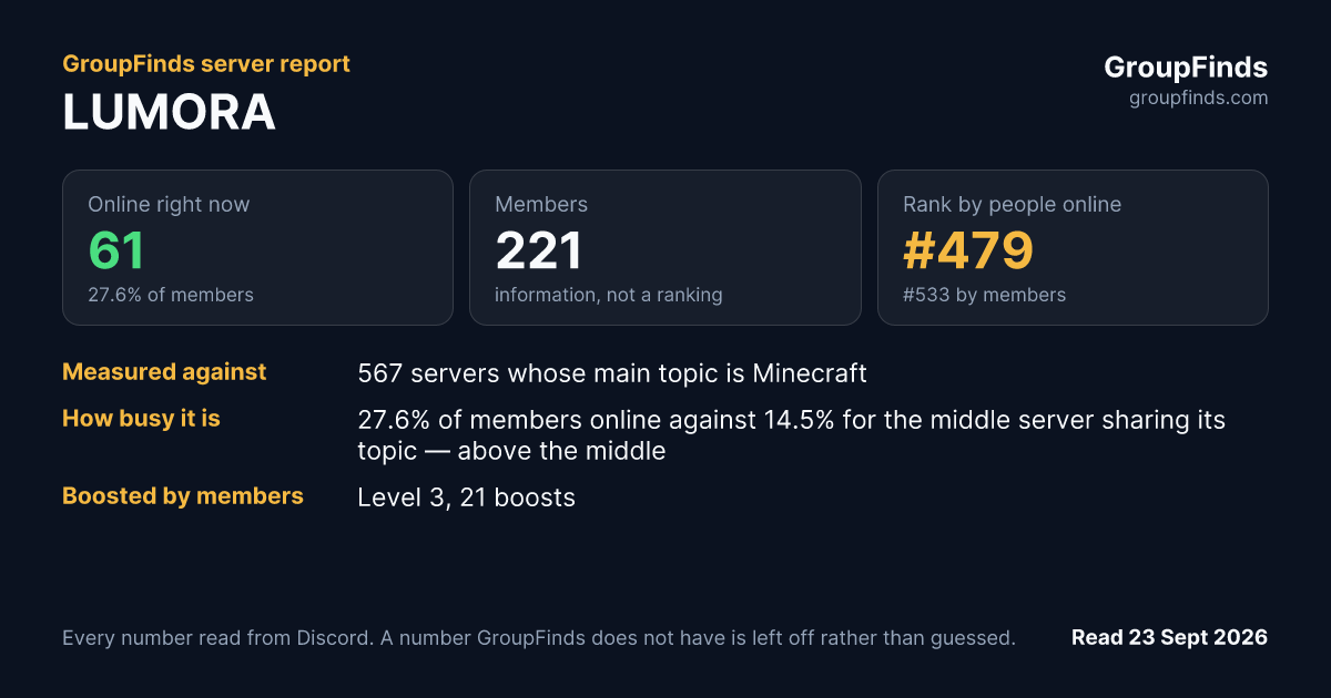 LUMORA's GroupFinds server report