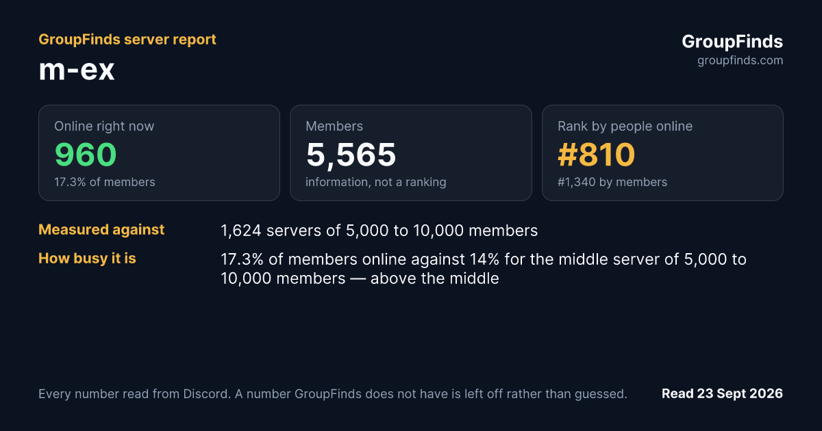 m-ex's GroupFinds server report