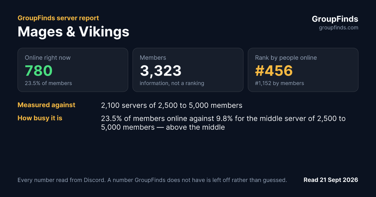 Mages & Vikings's GroupFinds server report