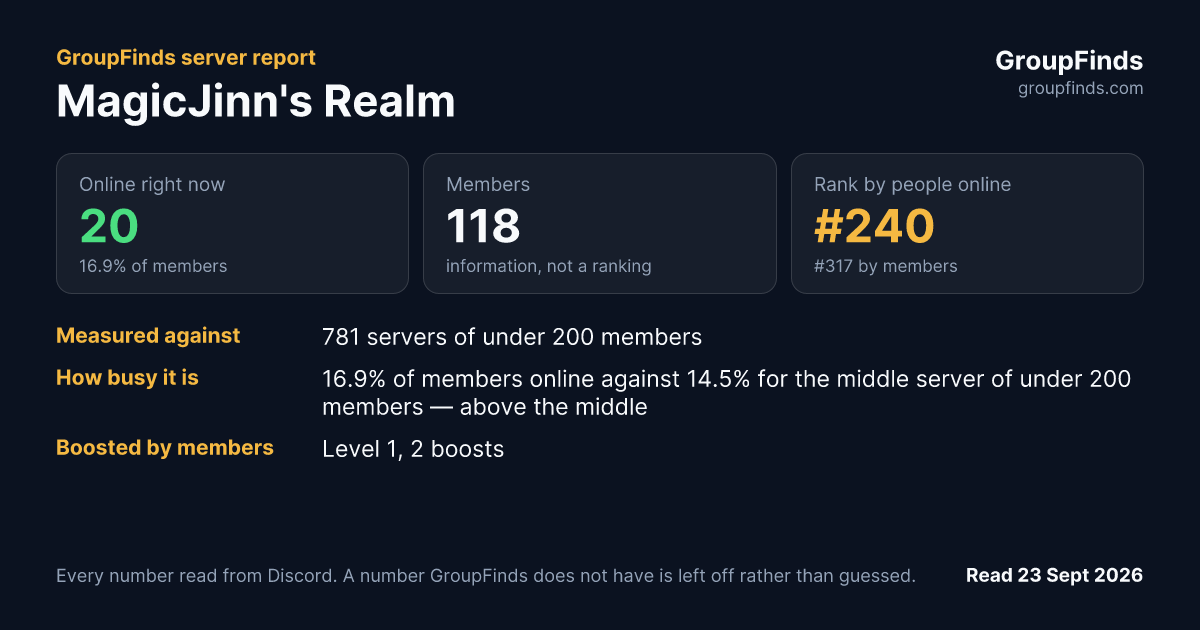 MagicJinn's Realm's GroupFinds server report