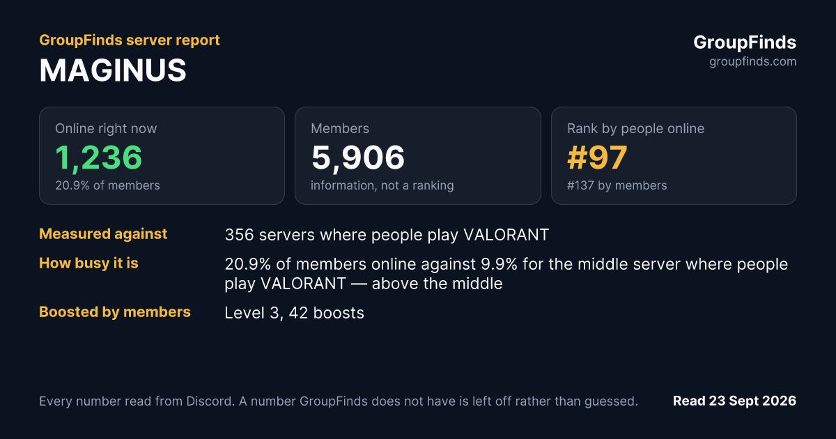 MAGINUS's GroupFinds server report