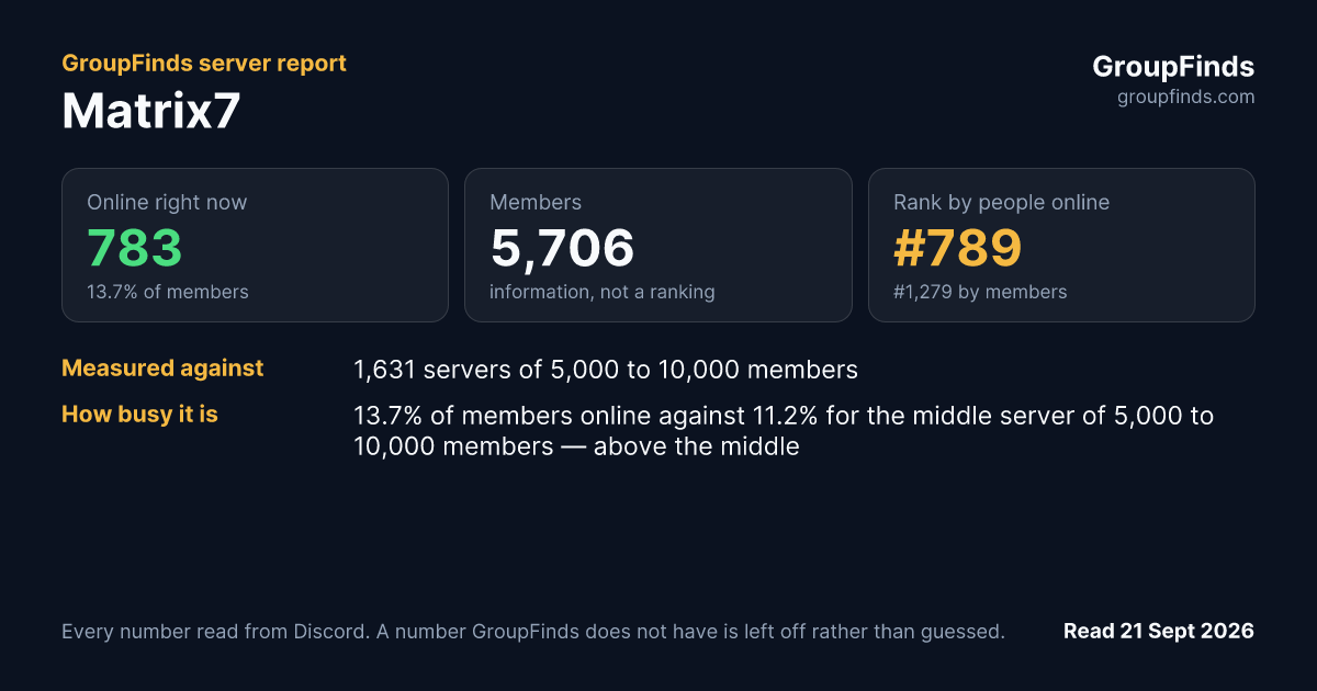 Matrix7's GroupFinds server report