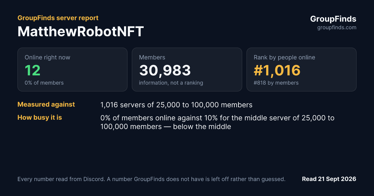 MatthewRobotNFT's GroupFinds server report