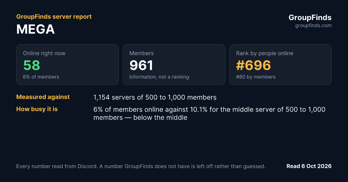 MEGA's GroupFinds server report
