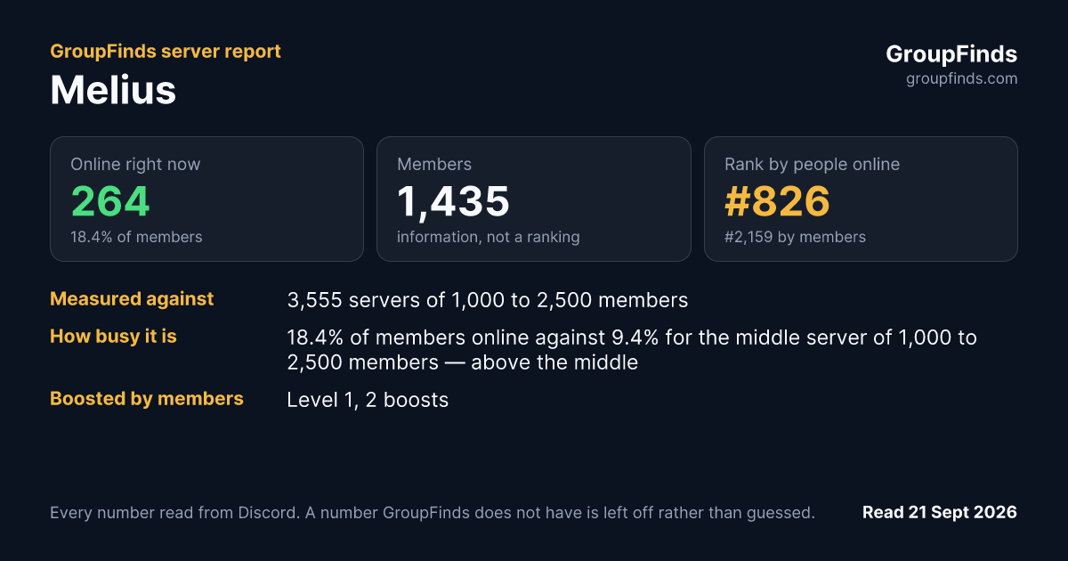 Melius's GroupFinds server report