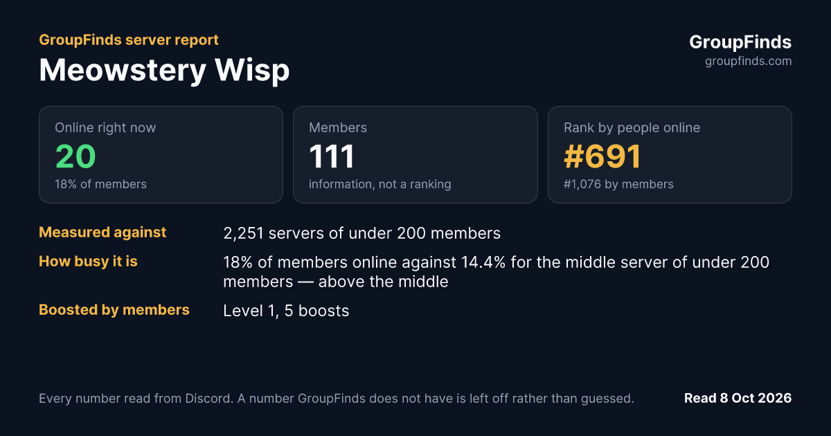 Meowstery Wisp's GroupFinds server report