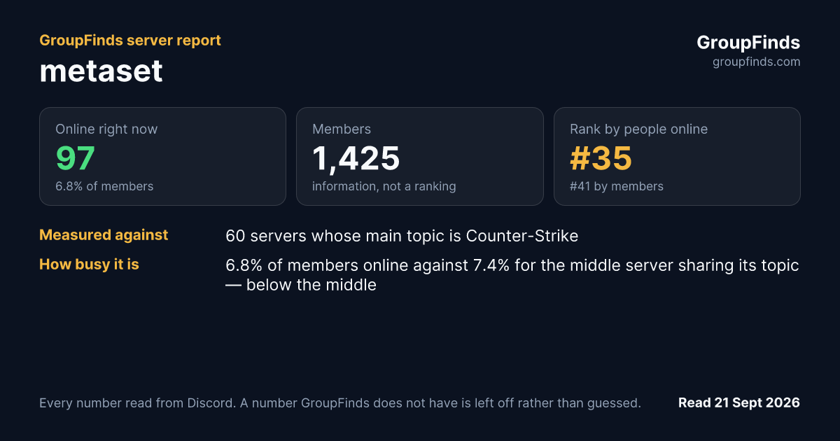 metaset's GroupFinds server report