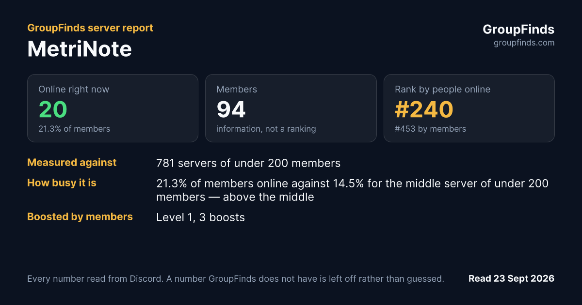 MetriNote's GroupFinds server report