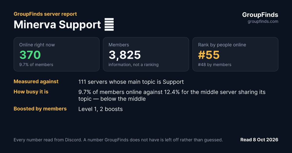 Minerva Support 🌺's GroupFinds server report