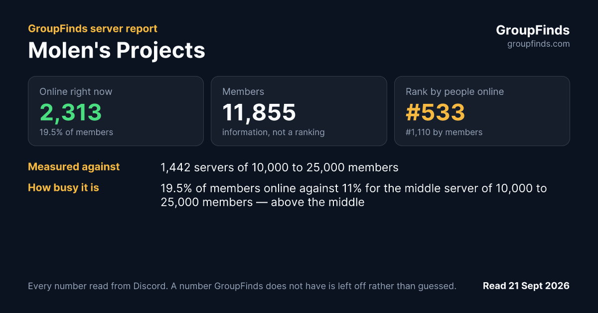 Molen's Projects's GroupFinds server report