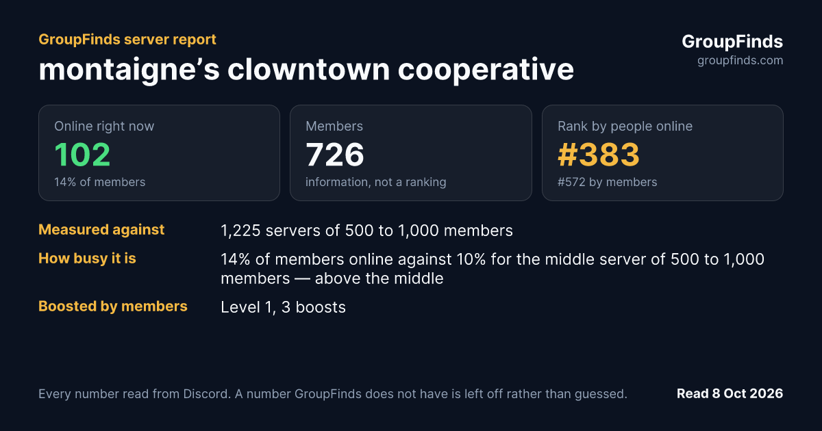 montaigne’s clowntown cooperative's GroupFinds server report