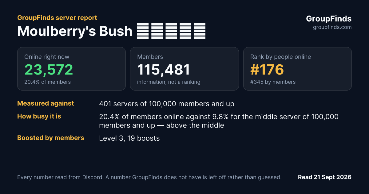 Moulberry's Bush 🌈🌈🌈🌈🌈's GroupFinds server report