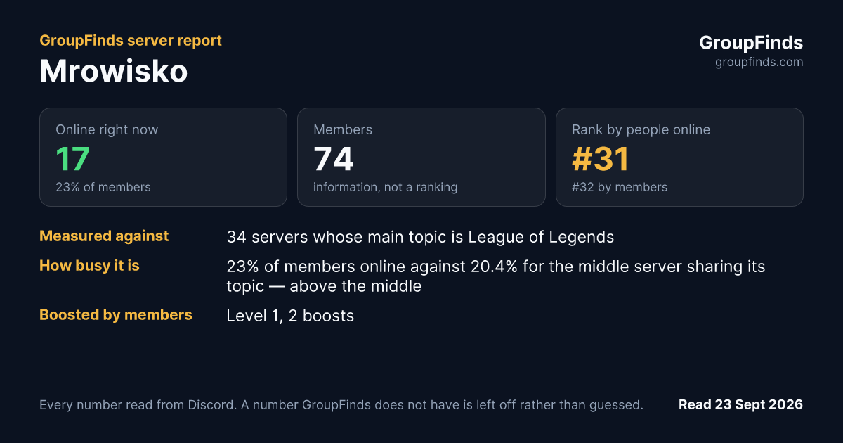 Mrowisko's GroupFinds server report