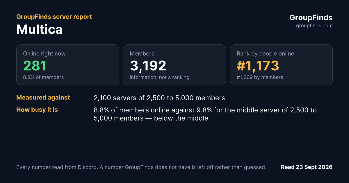 Multica's GroupFinds server report
