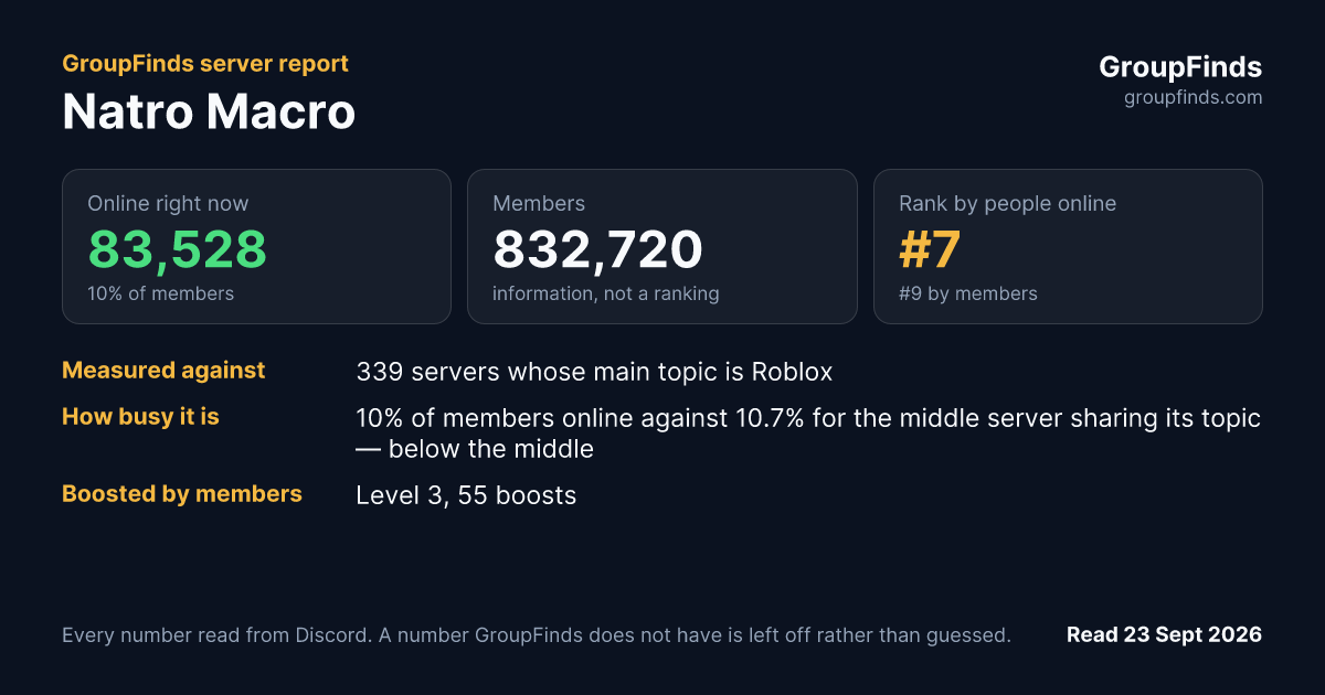 Natro Macro's GroupFinds server report