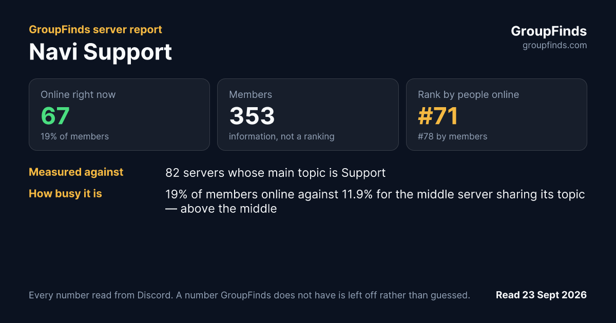 Navi Support's GroupFinds server report