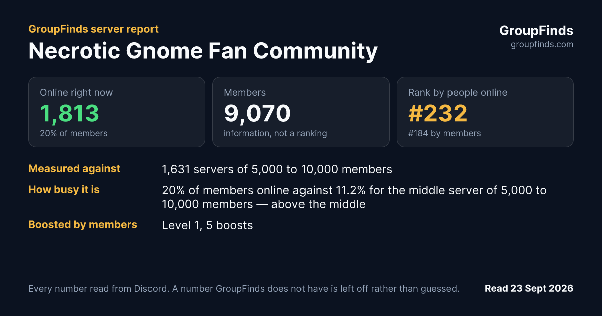 Necrotic Gnome Fan Community's GroupFinds server report