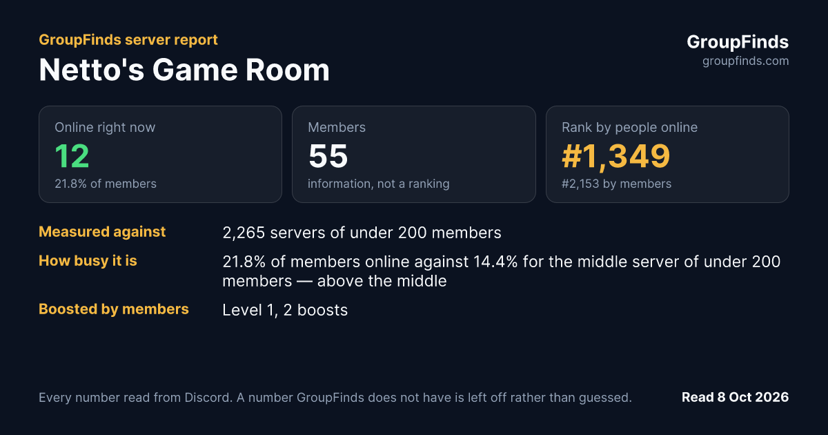 Netto's Game Room's GroupFinds server report