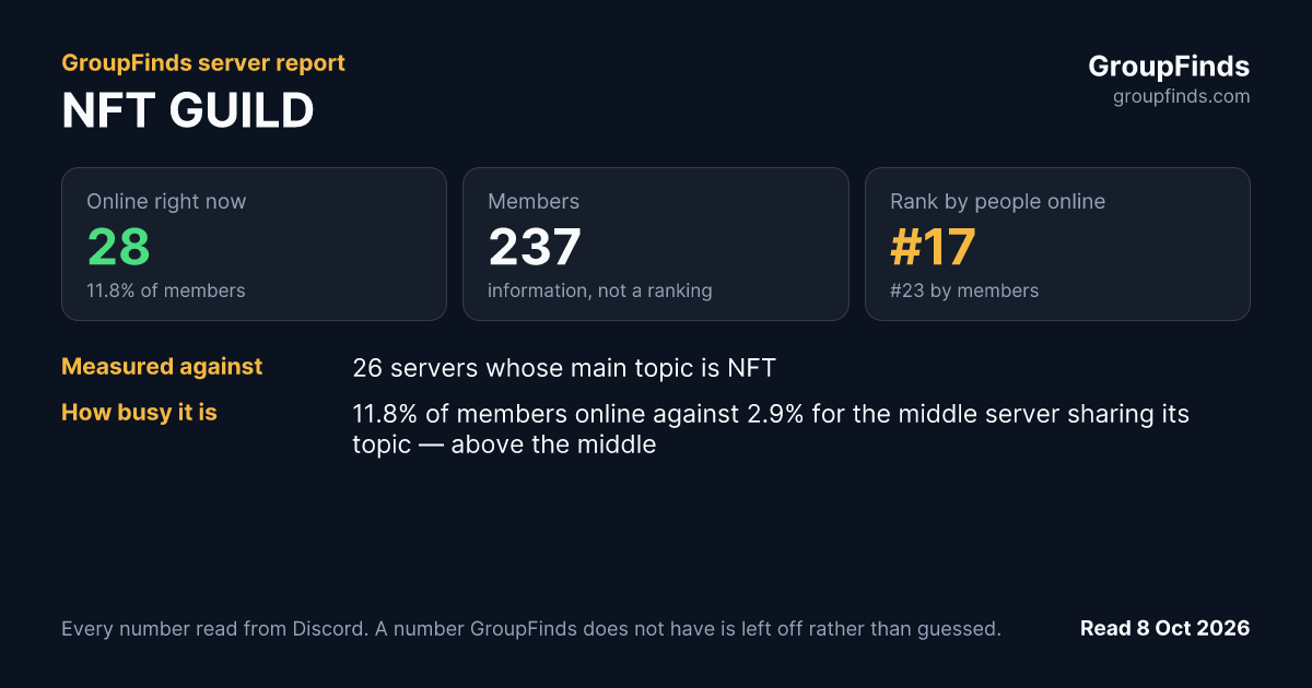 NFT GUILD's GroupFinds server report
