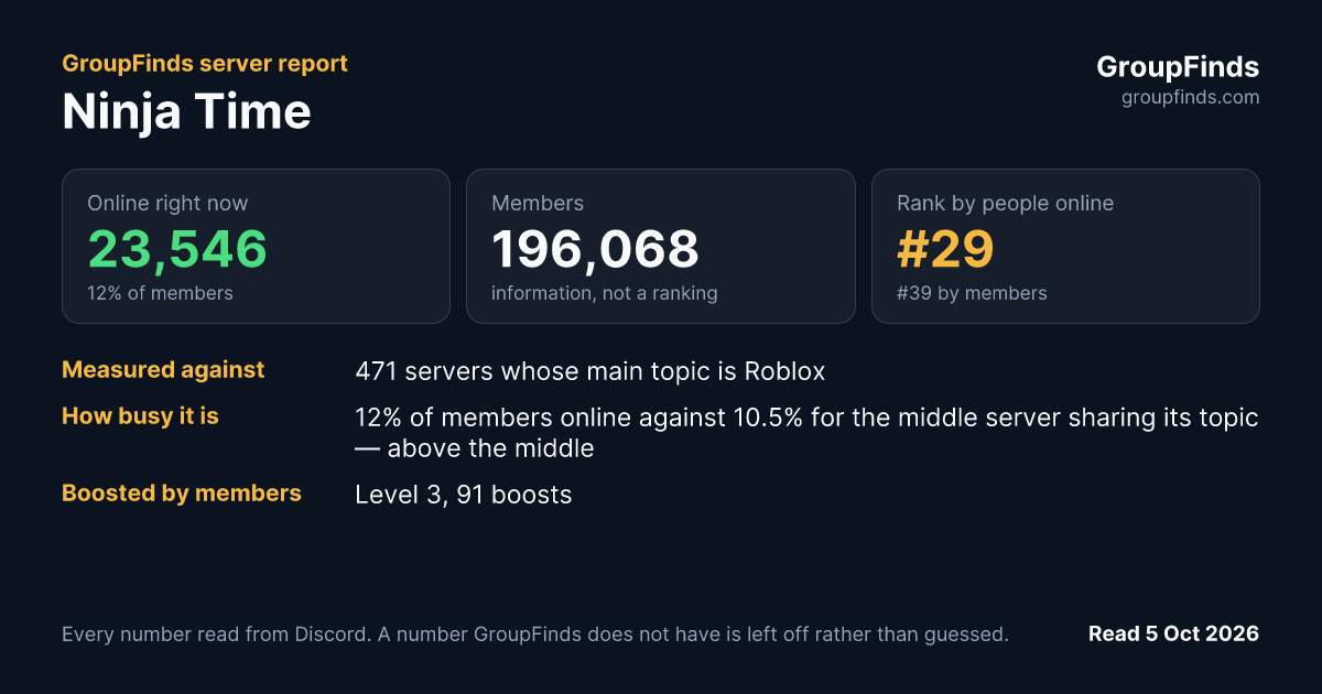 Ninja Time's GroupFinds server report