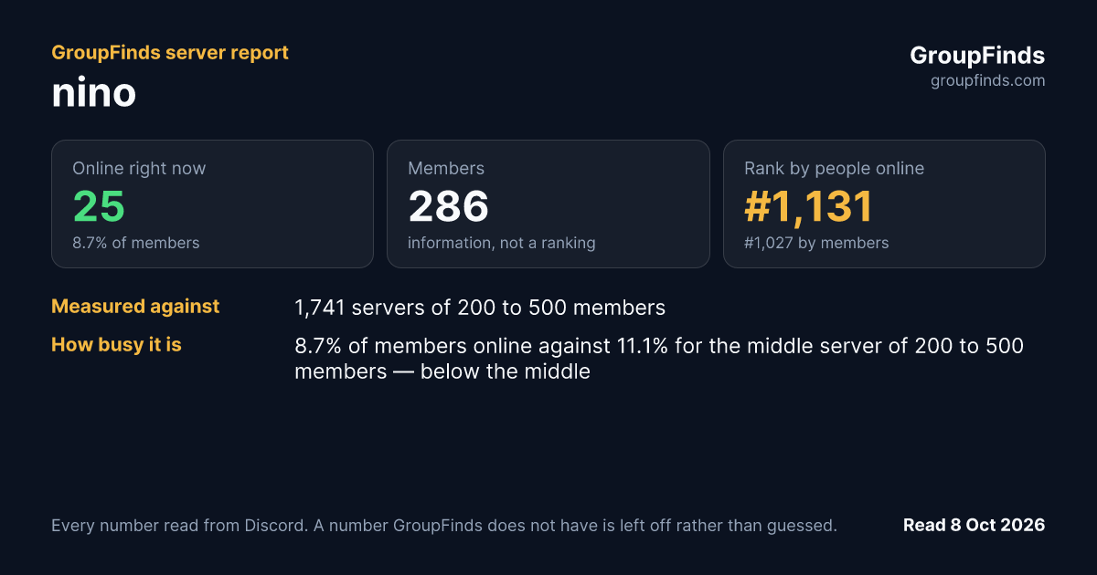 nino's GroupFinds server report