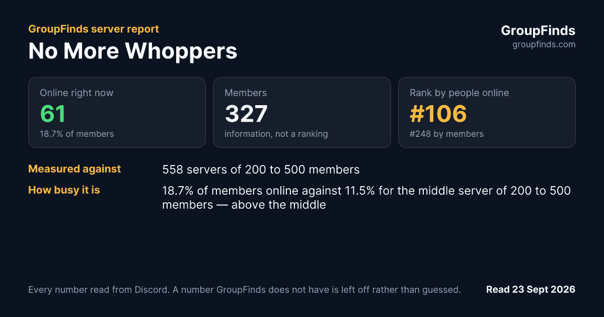 No More Whoppers's GroupFinds server report