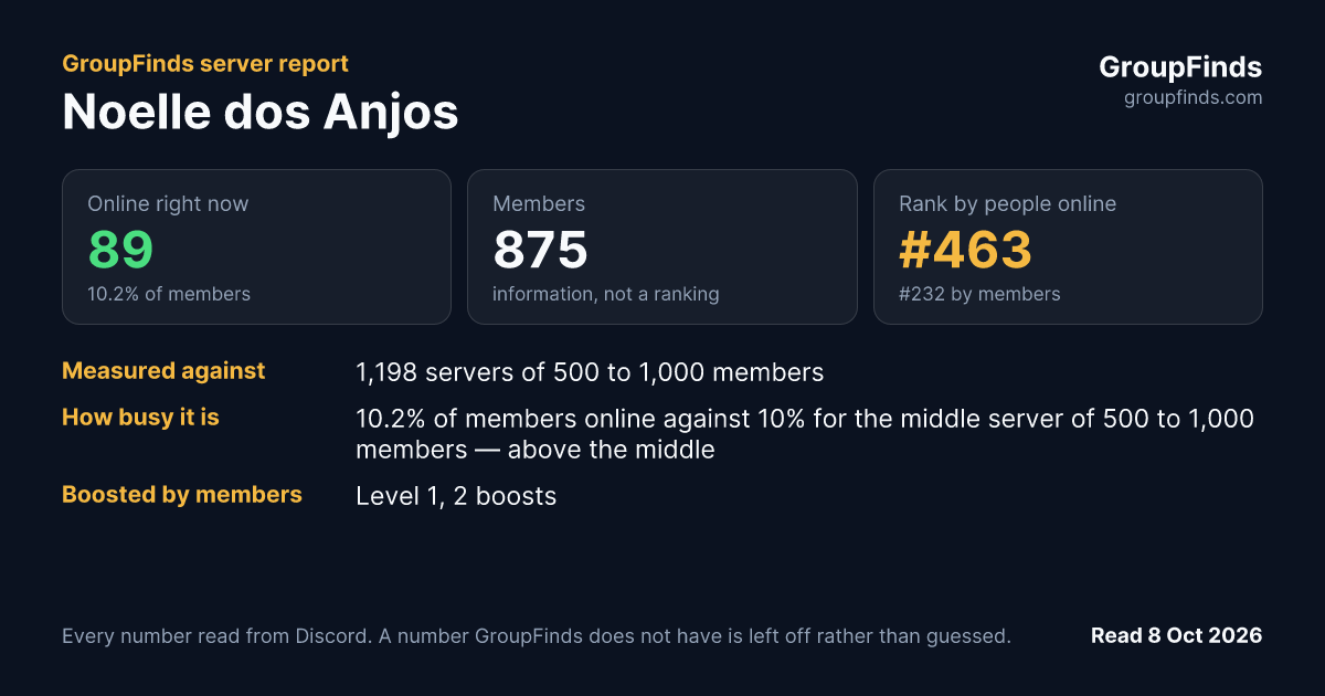 Noelle dos Anjos's GroupFinds server report