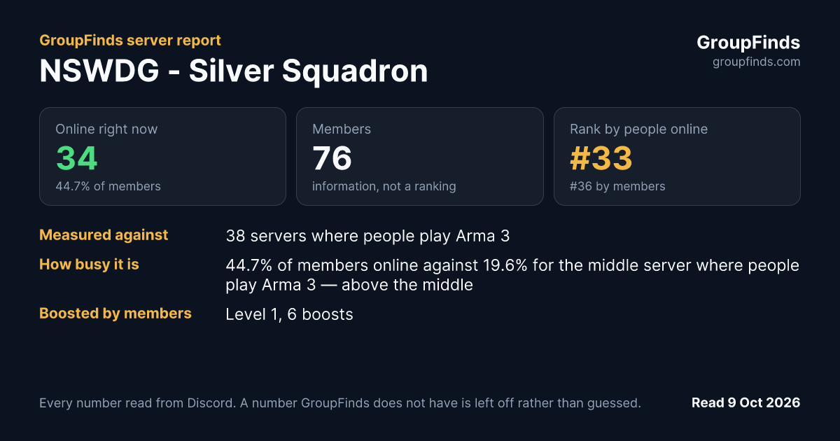 NSWDG - Silver Squadron's GroupFinds server report