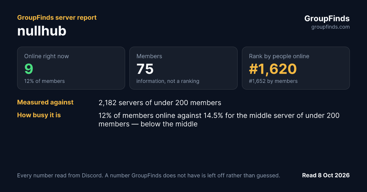 nullhub's GroupFinds server report