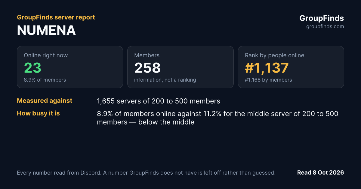 NUMENA's GroupFinds server report