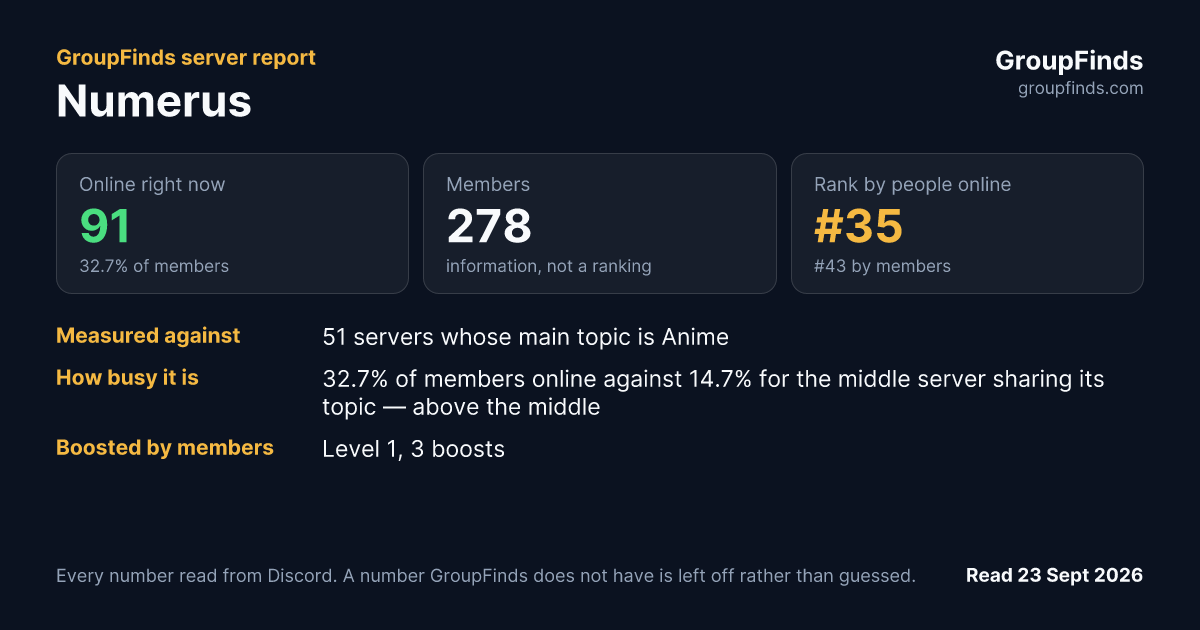 Numerus's GroupFinds server report