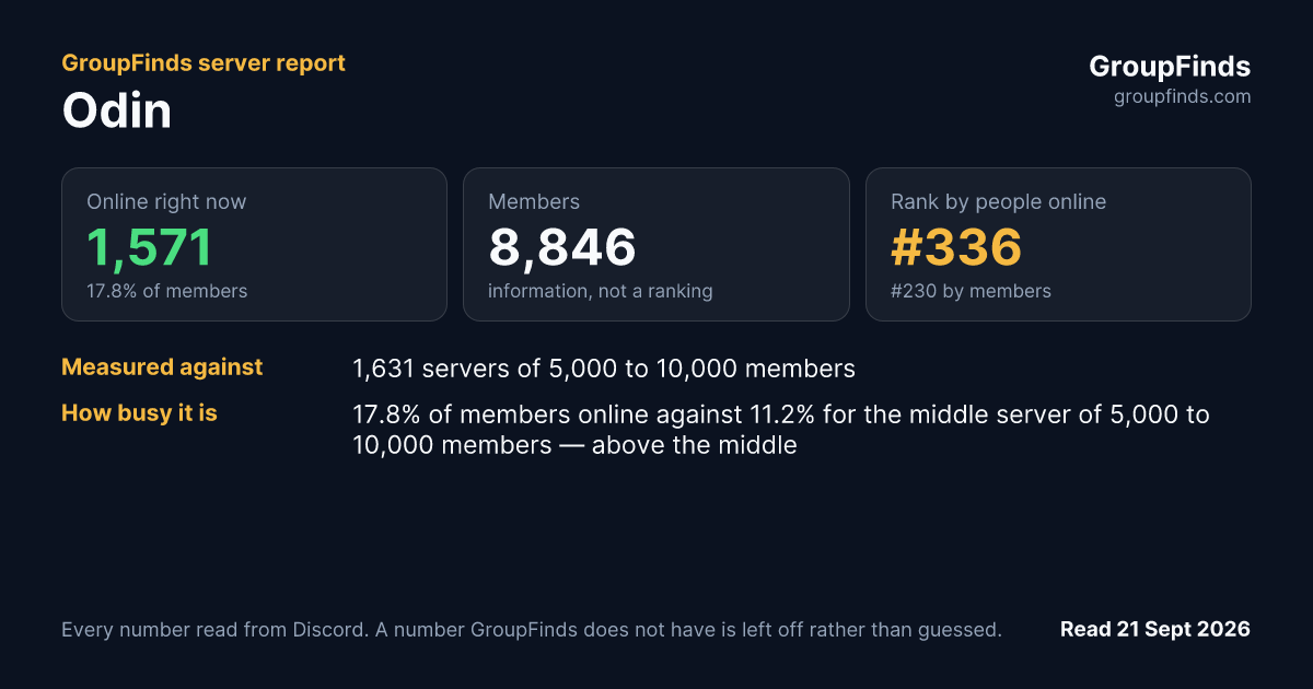 Odin's GroupFinds server report
