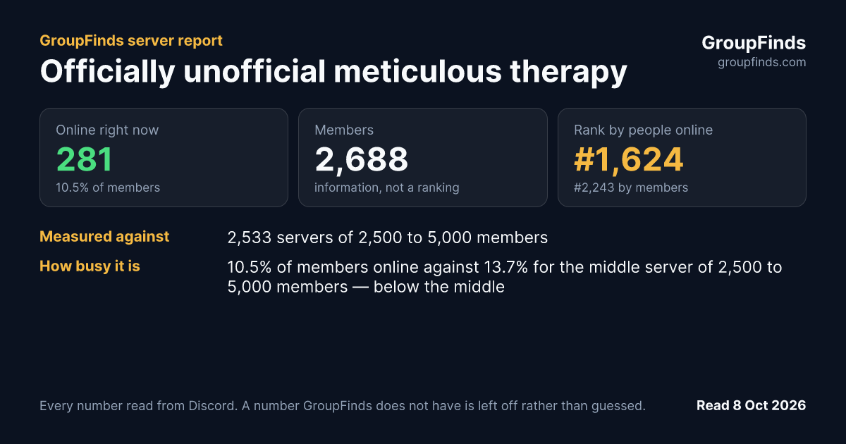 Officially unofficial meticulous therapy's GroupFinds server report
