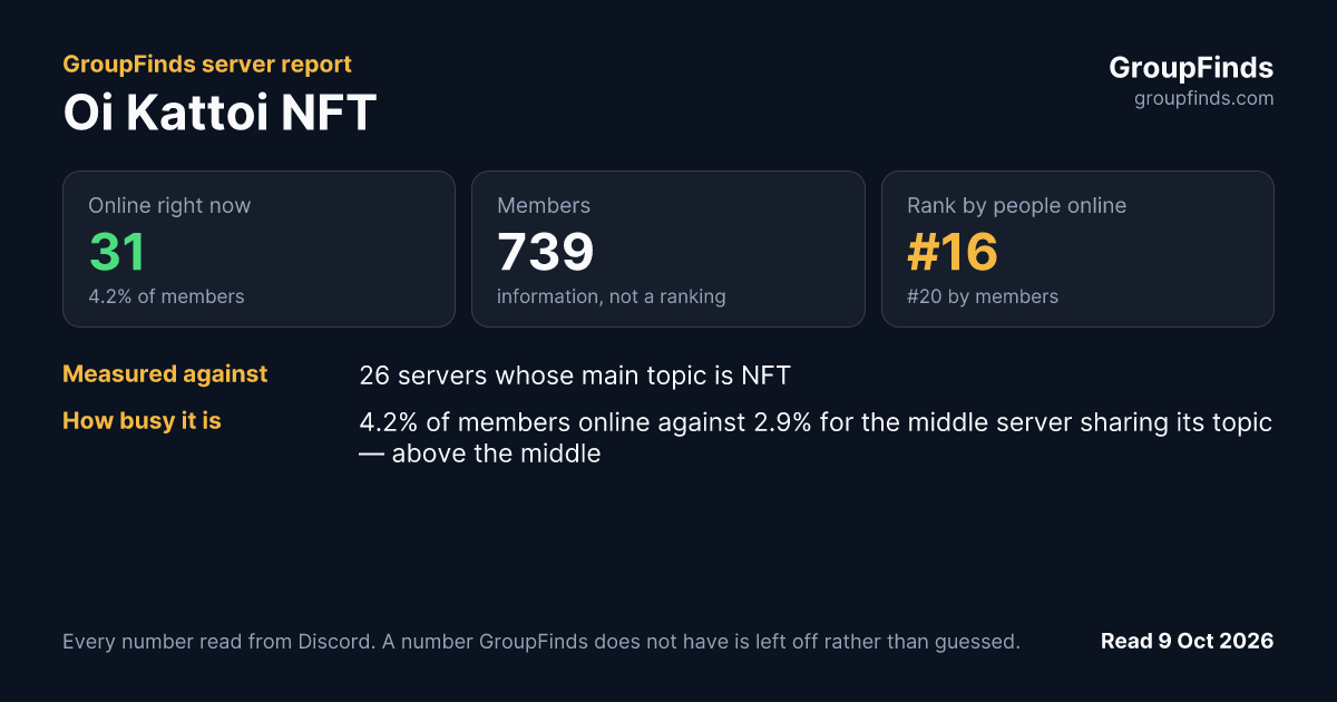 Oi Kattoi NFT's GroupFinds server report