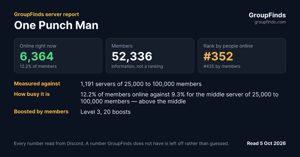 One Punch Man's GroupFinds server report